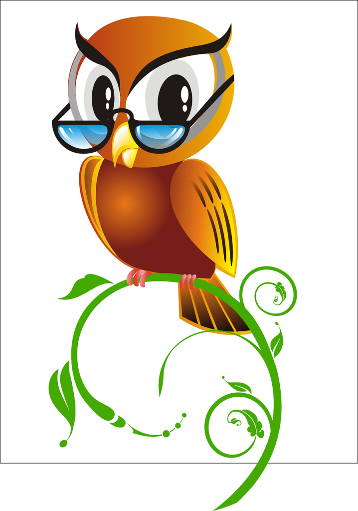 owl, bird, glasses-151554.jpg